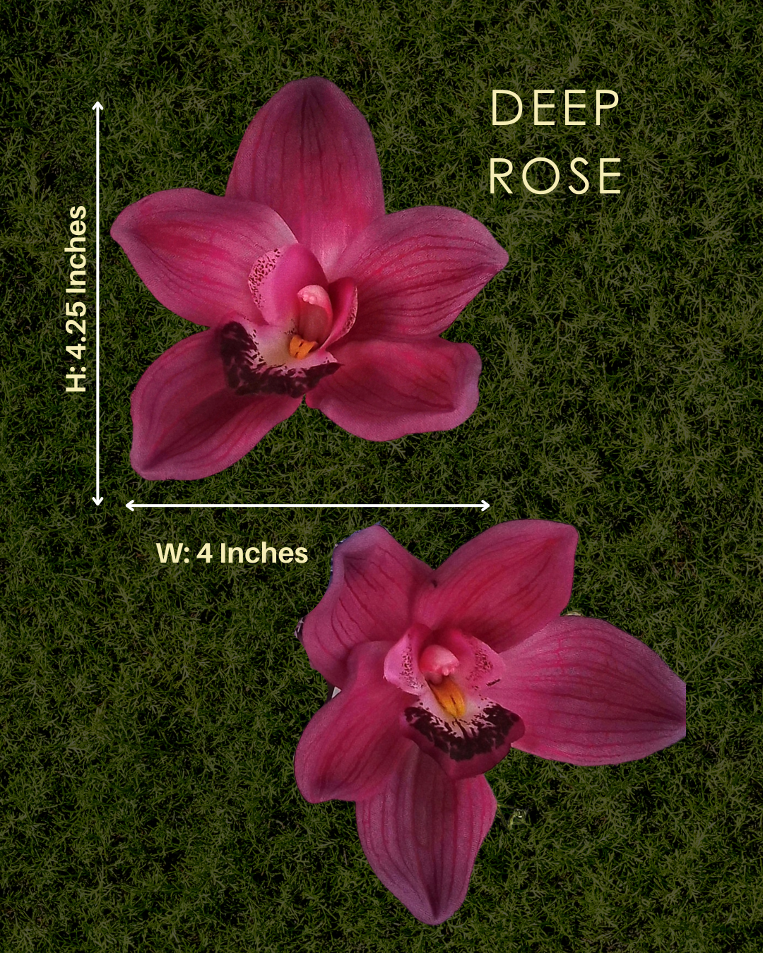Deep Rose Orchid Earrings