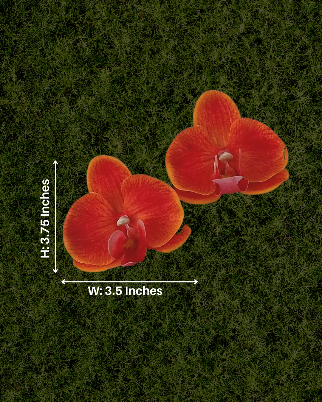 Ember Bloom Orchid Earrings