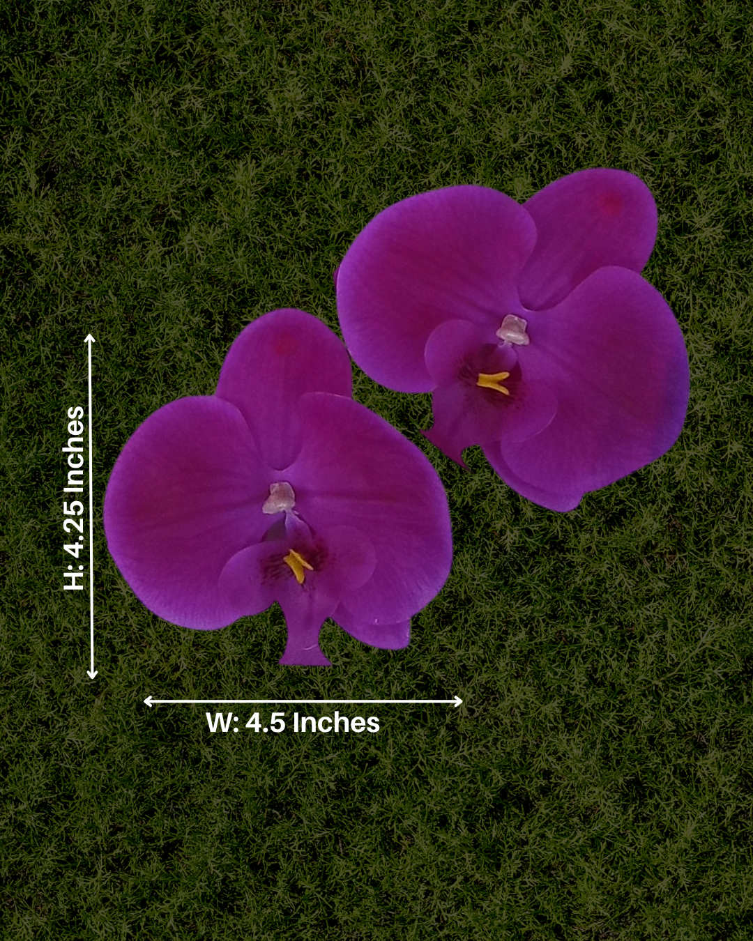 Violet Reign Orchid Earrings