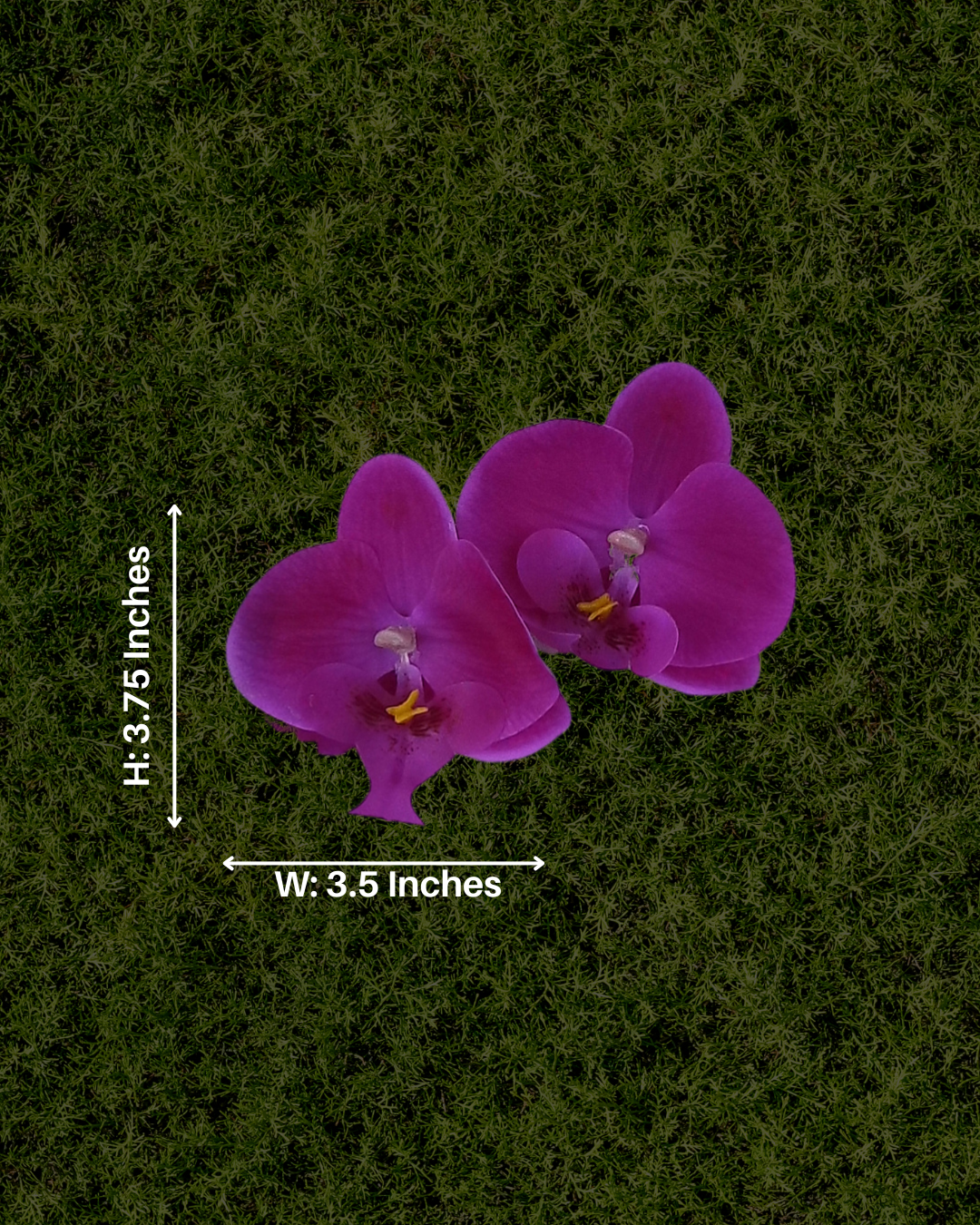 Violet Reign Orchid Earrings