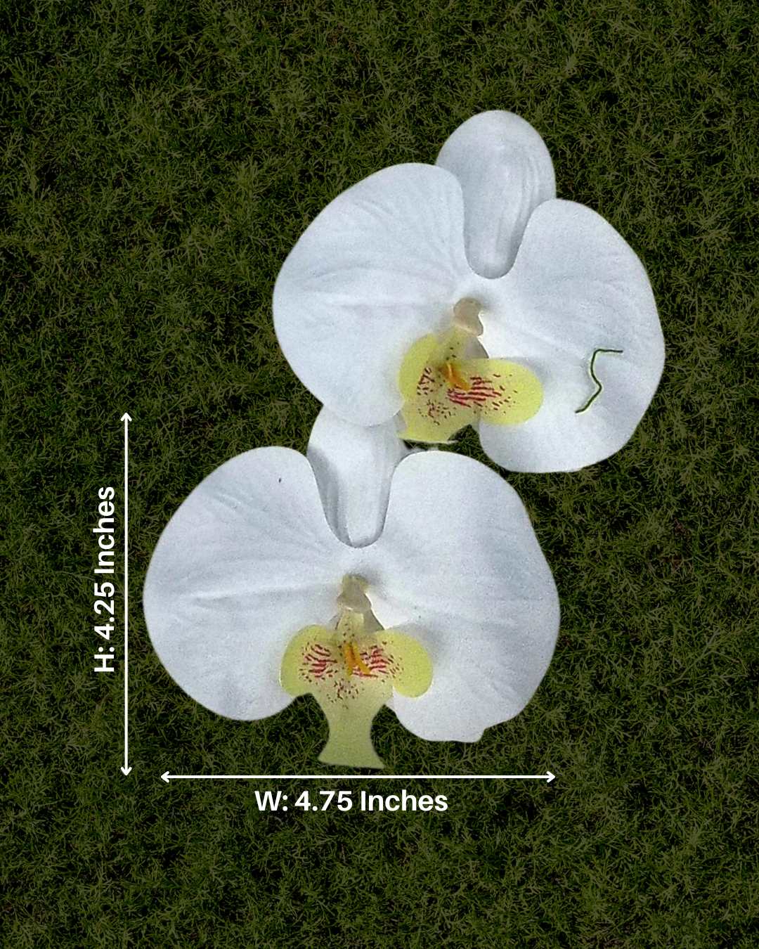 Ivory Classic Orchid Earrings