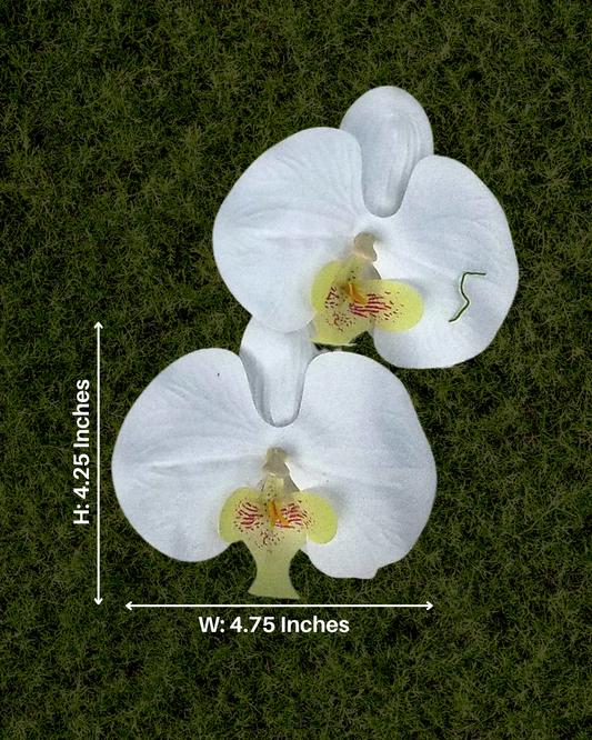 Ivory Classic Orchid Earrings