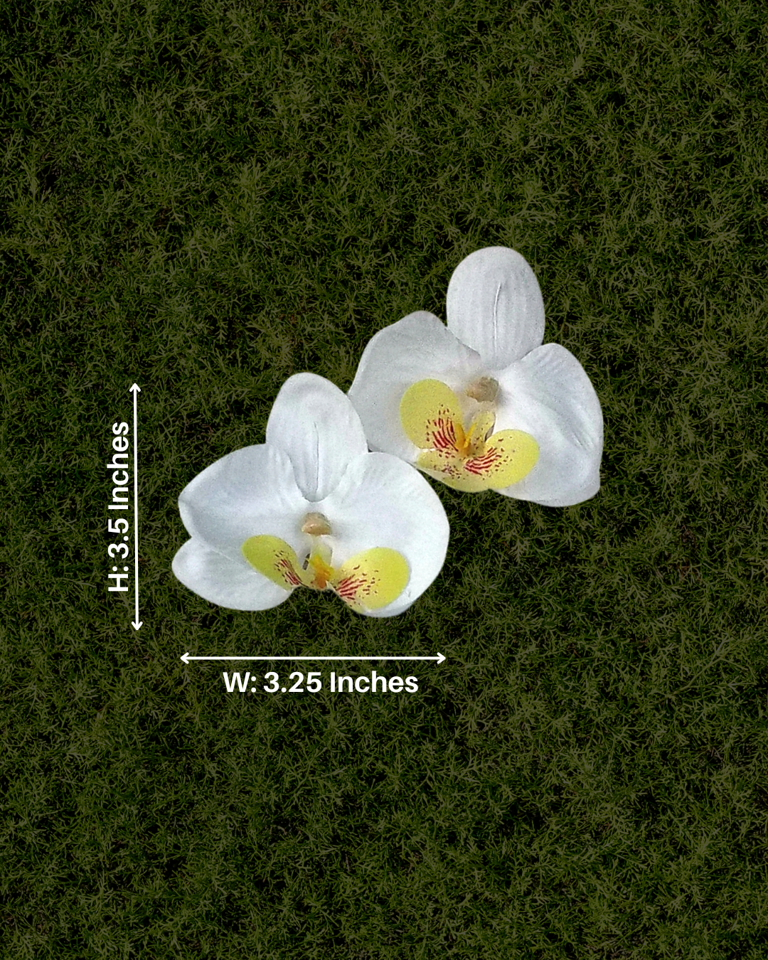 Ivory Classic Orchid Earrings